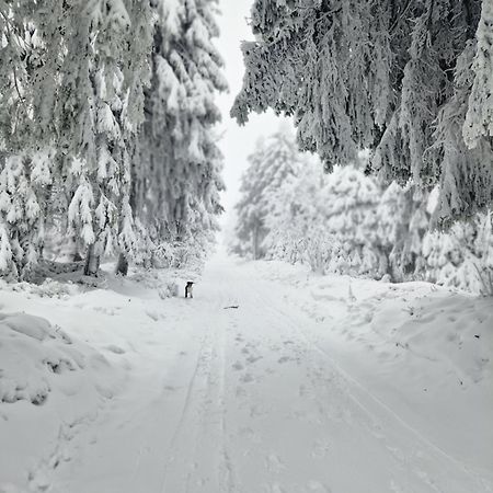 Chata Jeleni Drevenice S Vlastni Virivkou Horni Halze Exterior foto